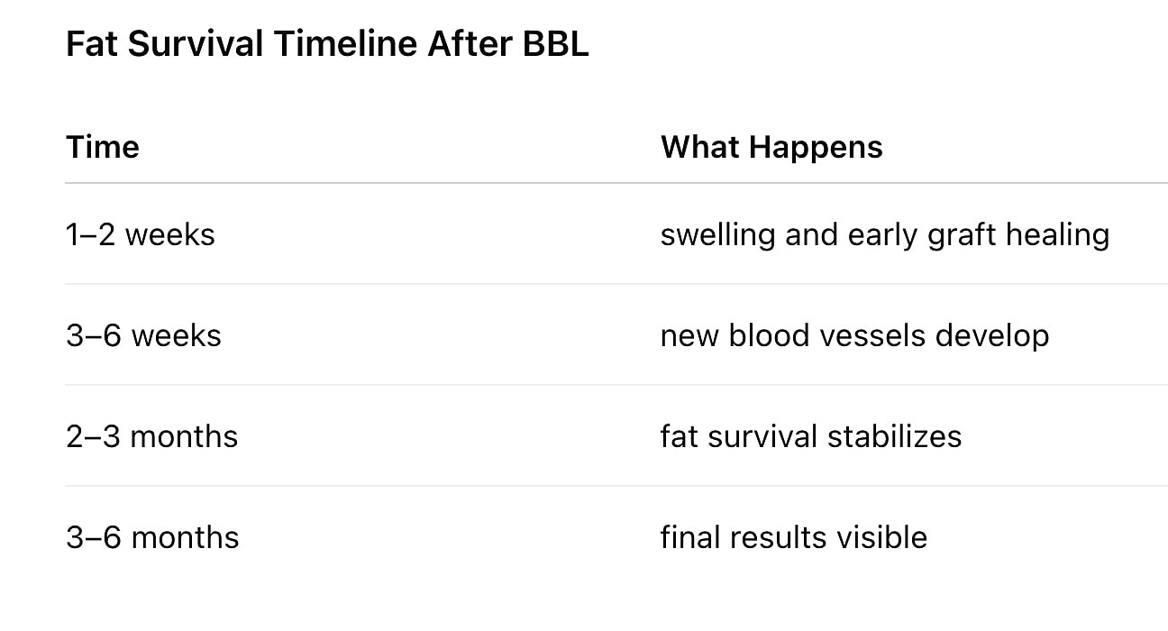 Fat survival timeline after Brazilian Butt Lift.
